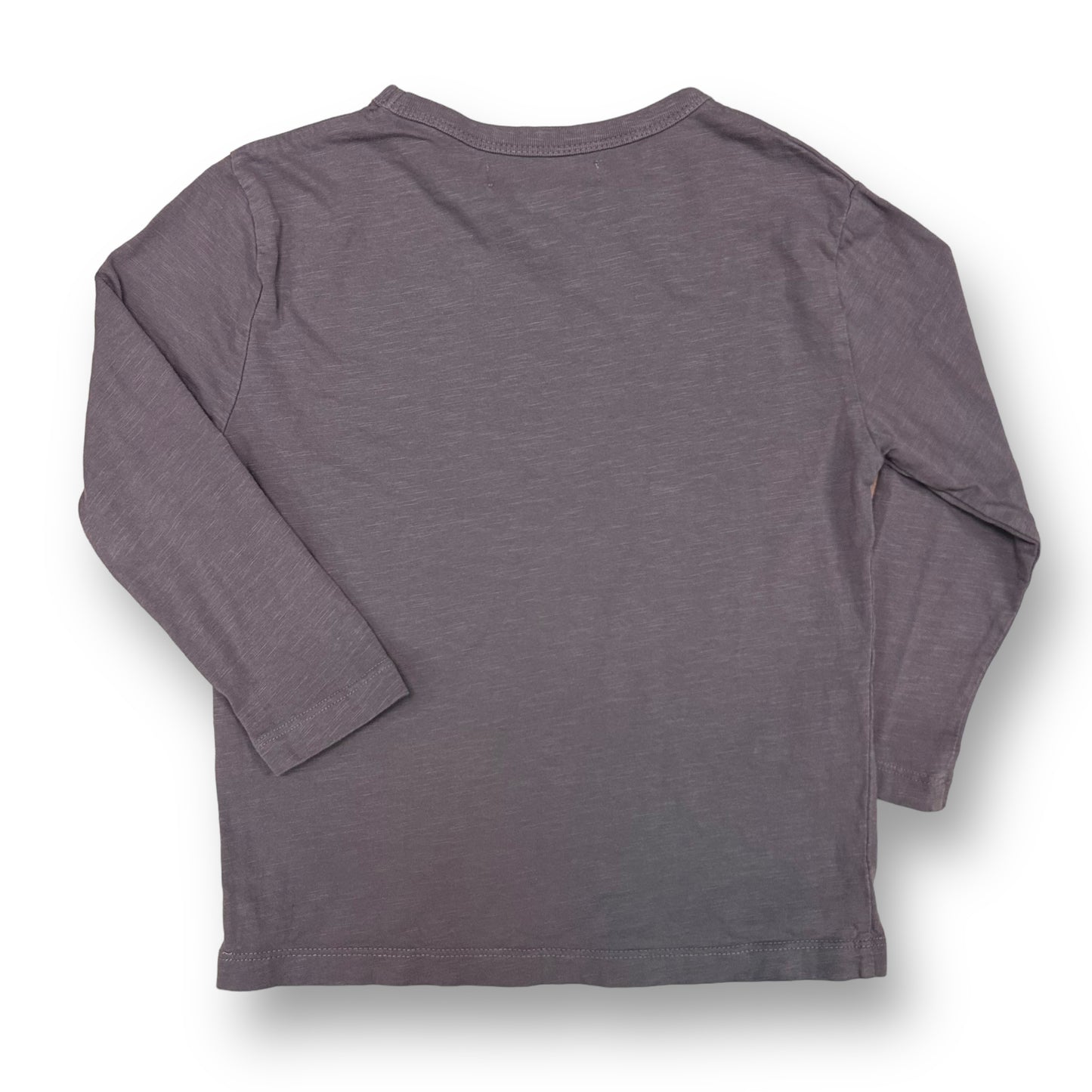 Zara Girl Size 6 Purple Cotton Long Sleeve Shirt