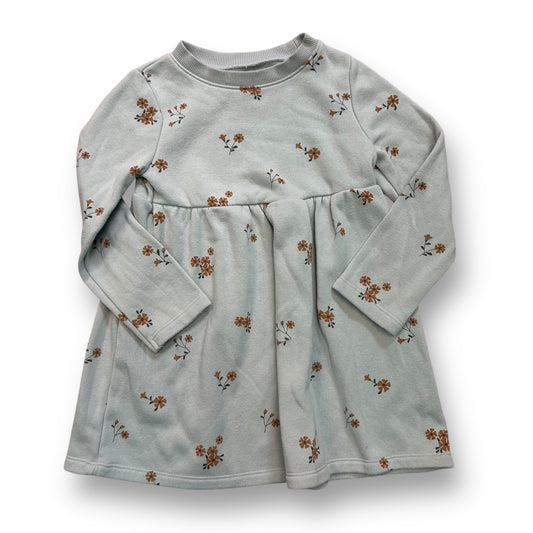 Toddler Girls Size 3T Light Blue Fleece Lined Long Sleeve Comfy Dress