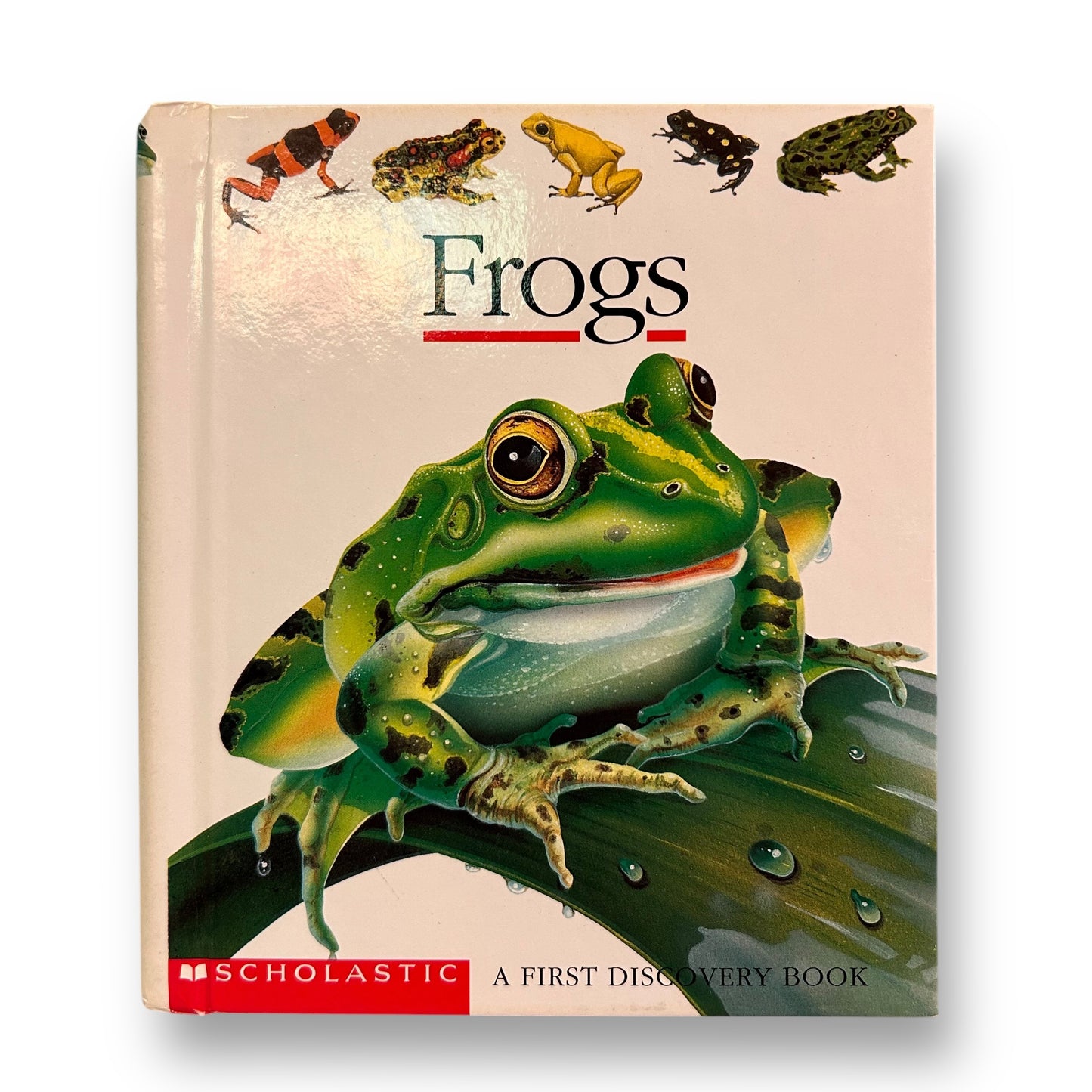 Frogs First Discovery Book with Plastic See-Through Pages