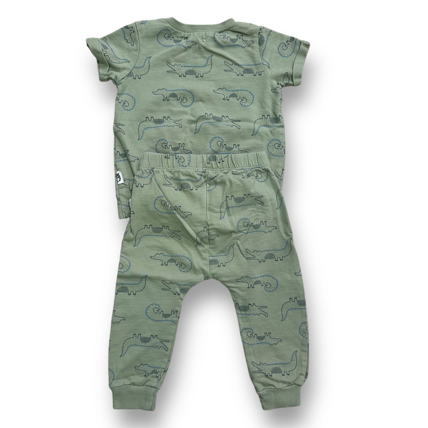 Rabbit + Bear Boys Size 18 Months Outfit Sage Green Crocodile 2-Pc Pants Set