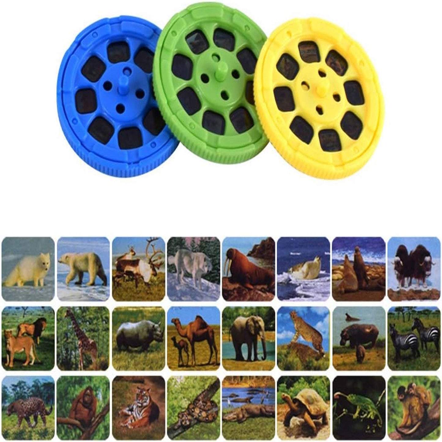 NEW! Dinosaur Projector Flashlight Vivid Light-Up Educational Toy with Slides