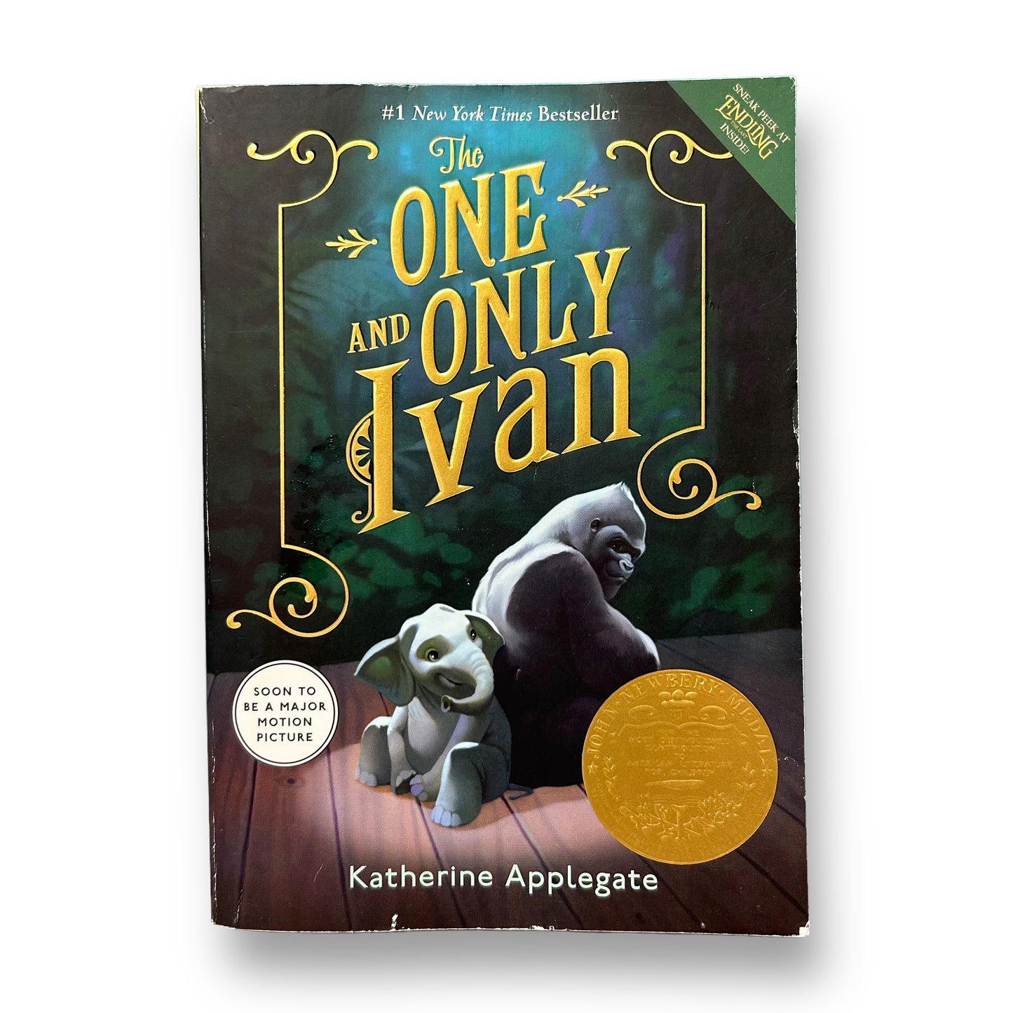 The One And Only Ivan Chapter Book