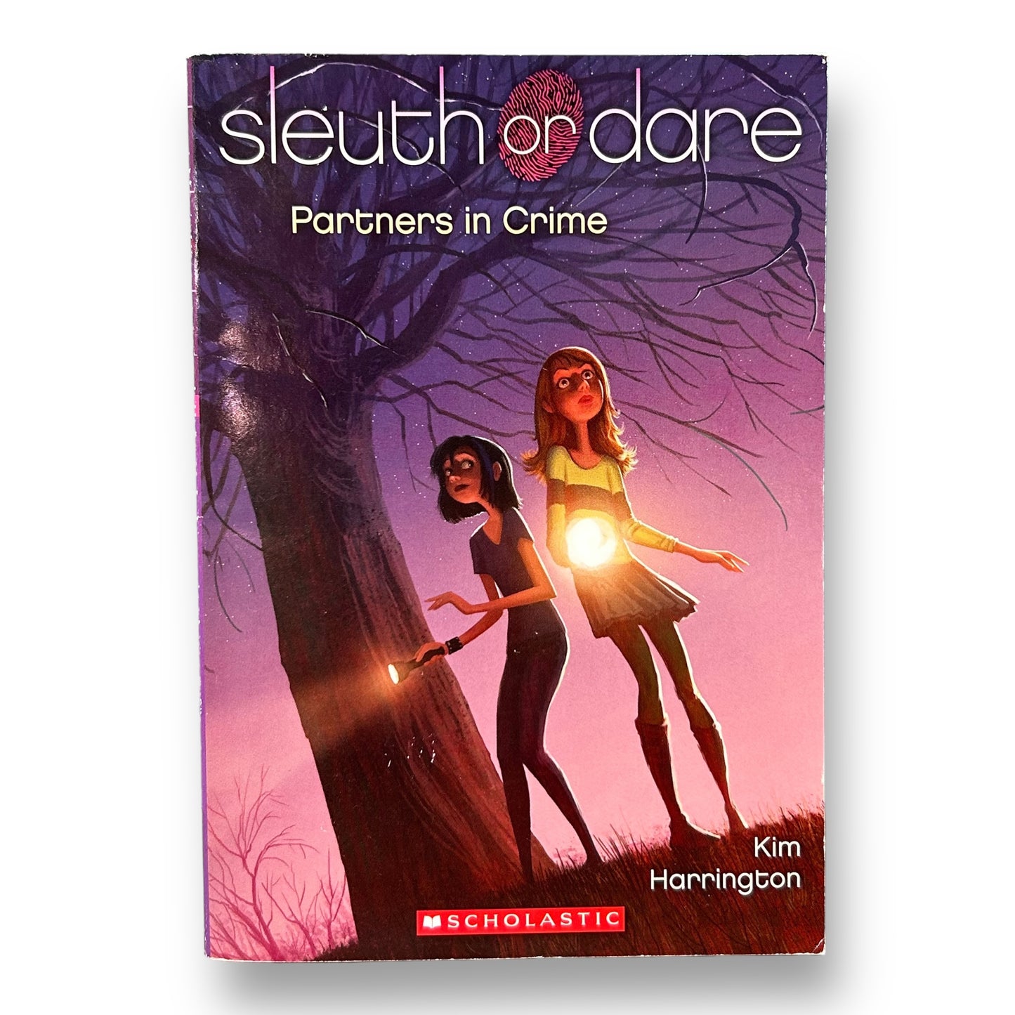Sleuth or Dare Scholastic Chapter Book