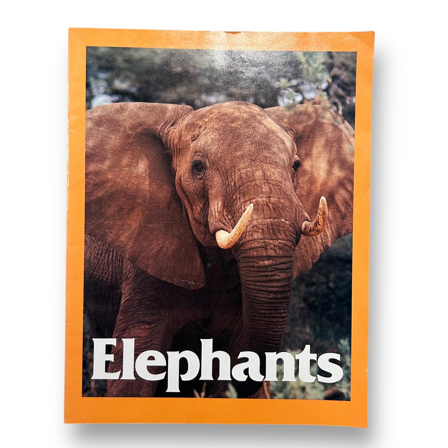Elephants Educational Paperback Book