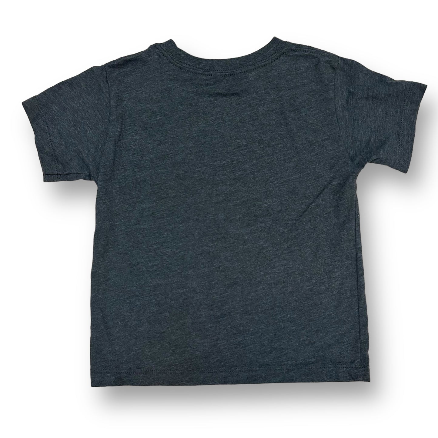Boys Size 4/5 Brother of the Birthday Girl Short Sleeve Dark Gray Tee