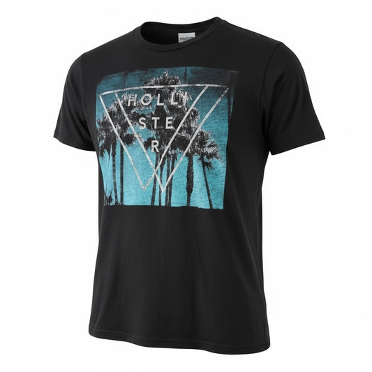 Hollister T-Shirt Men's Size Small Gray Graphic Print Short Sleeve Tee