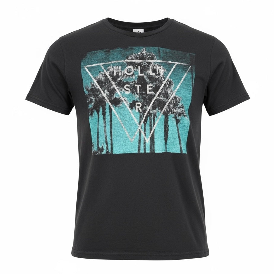 Hollister T-Shirt Men's Size Small Gray Graphic Print Short Sleeve Tee