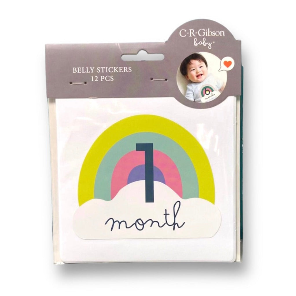NEW! Baby Boy or Girl Photo Prop Monthly Belly Stickers 0-12 Months