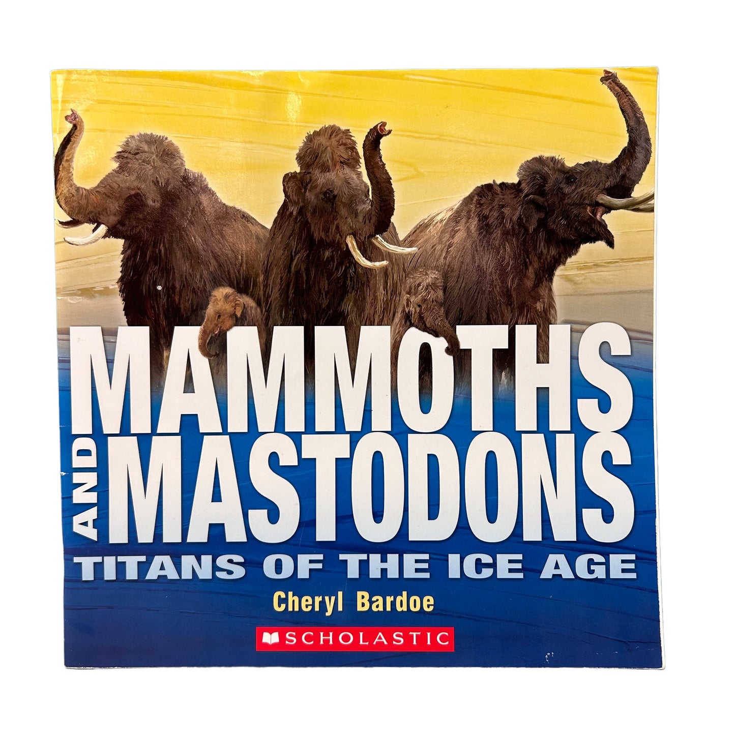 Mammoths and Mastodons Titans of the Ice Age Educational Book