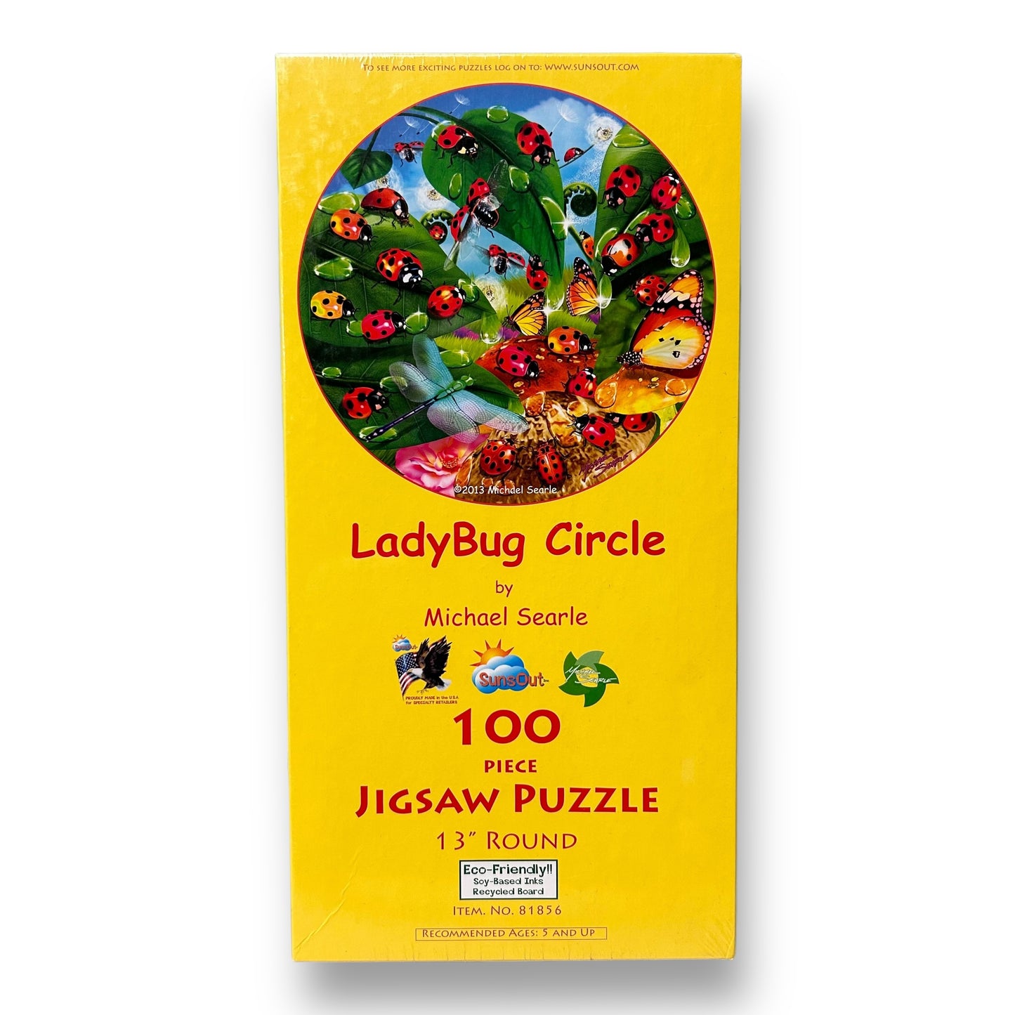 A 100-piece jigsaw puzzle box with a colorful ladybug and plant design on the cover.
