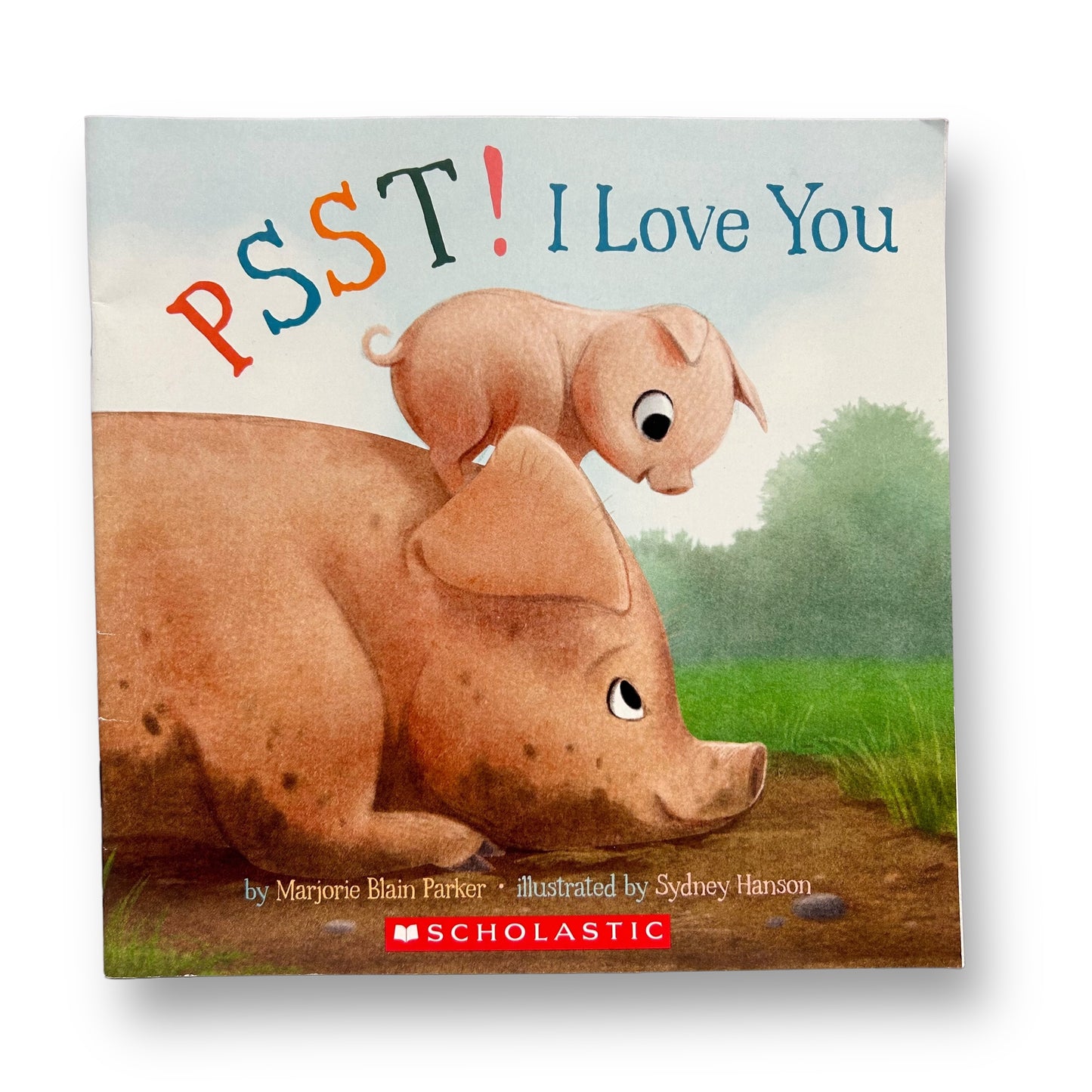 Psst! I Love You Paperback Book