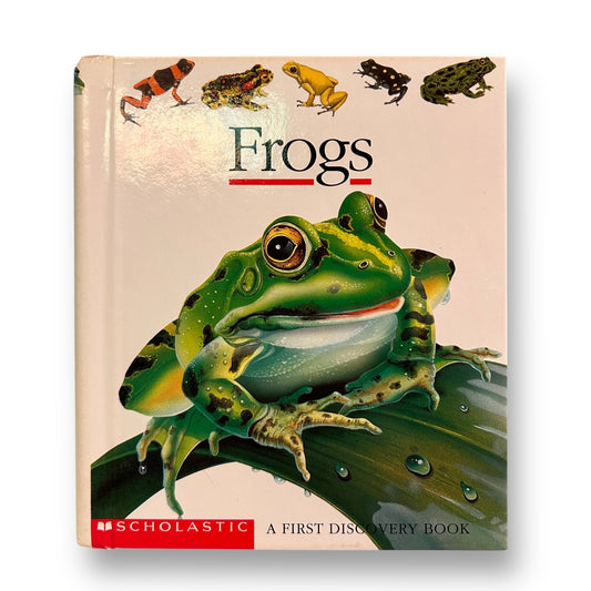 Frogs First Discovery Book with Plastic See-Through Pages