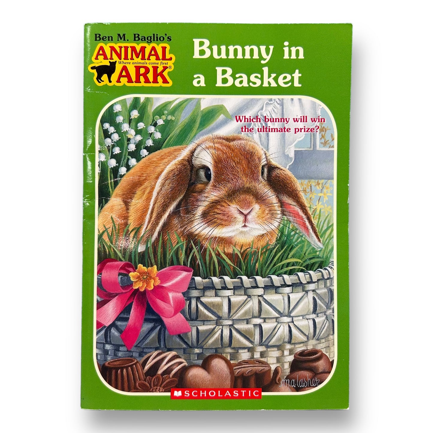 Bunny is a Basket Chapter Book