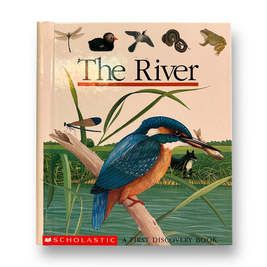 The River First Discovery Book with Plastic See-Through Pages