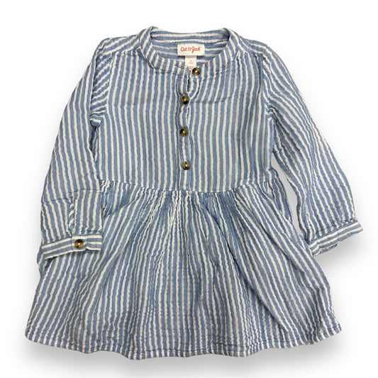 Girls Cat & Jack Size 3T Blue & White Striped Long Sleeve Knit Dress
