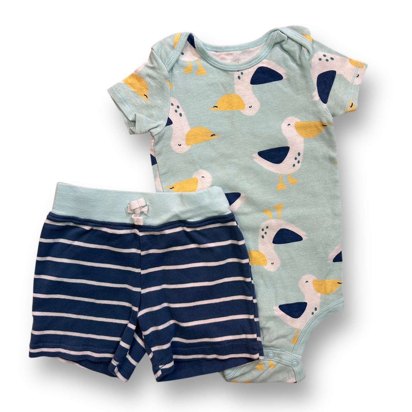 A baby outfit set with a blue and green striped tee shirt and matching shorts with a blue and white striped pattern, decorated with yellow and white pelican illustrations.