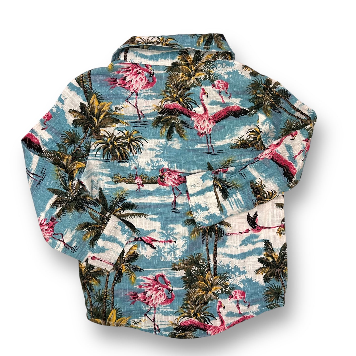 Boys Size 3T Tropical Flamingo Print Long Sleeve Button Down Shirt