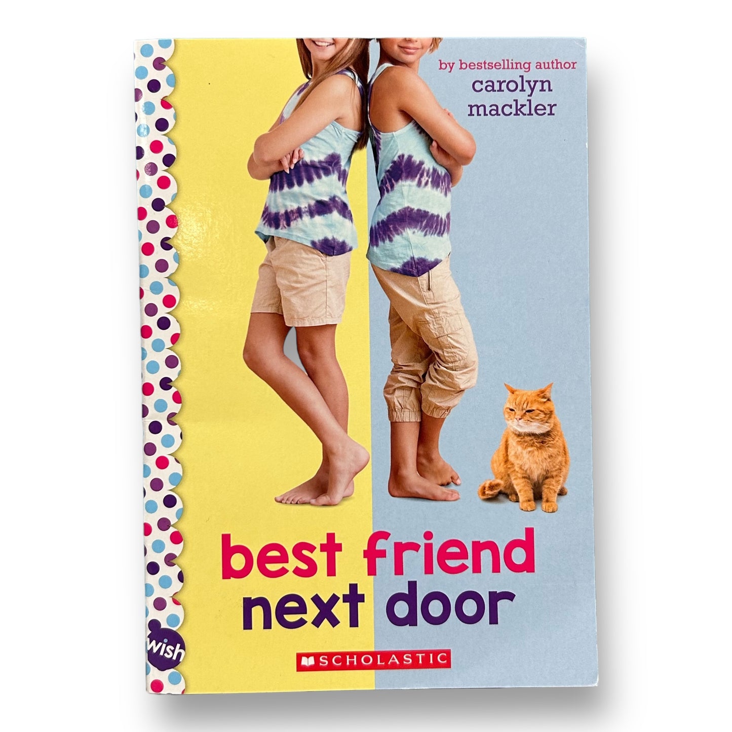 Best Friend Next Door Chapter Book