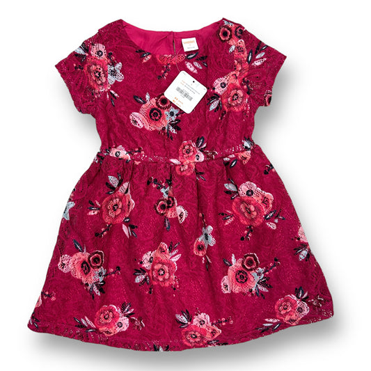NEW! Girls Gymboree Size 6 Dark Pink Floral Lacey Short Sleeve Dress