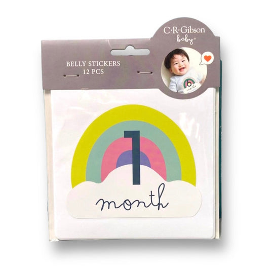 NEW! Baby Photo Prop Monthly Belly Stickers