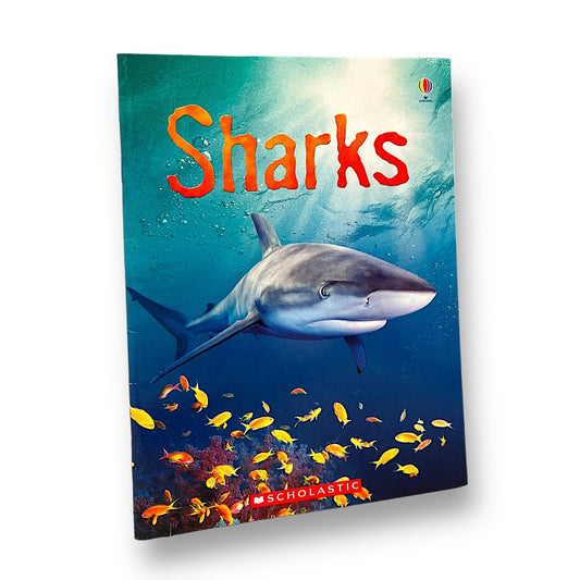 Usborne Sharks Step Reader Book