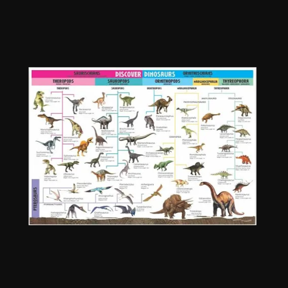 Discover Dinosaurs Educational Tin Set Book, Wall Chart, & Fossil Excavation Kit