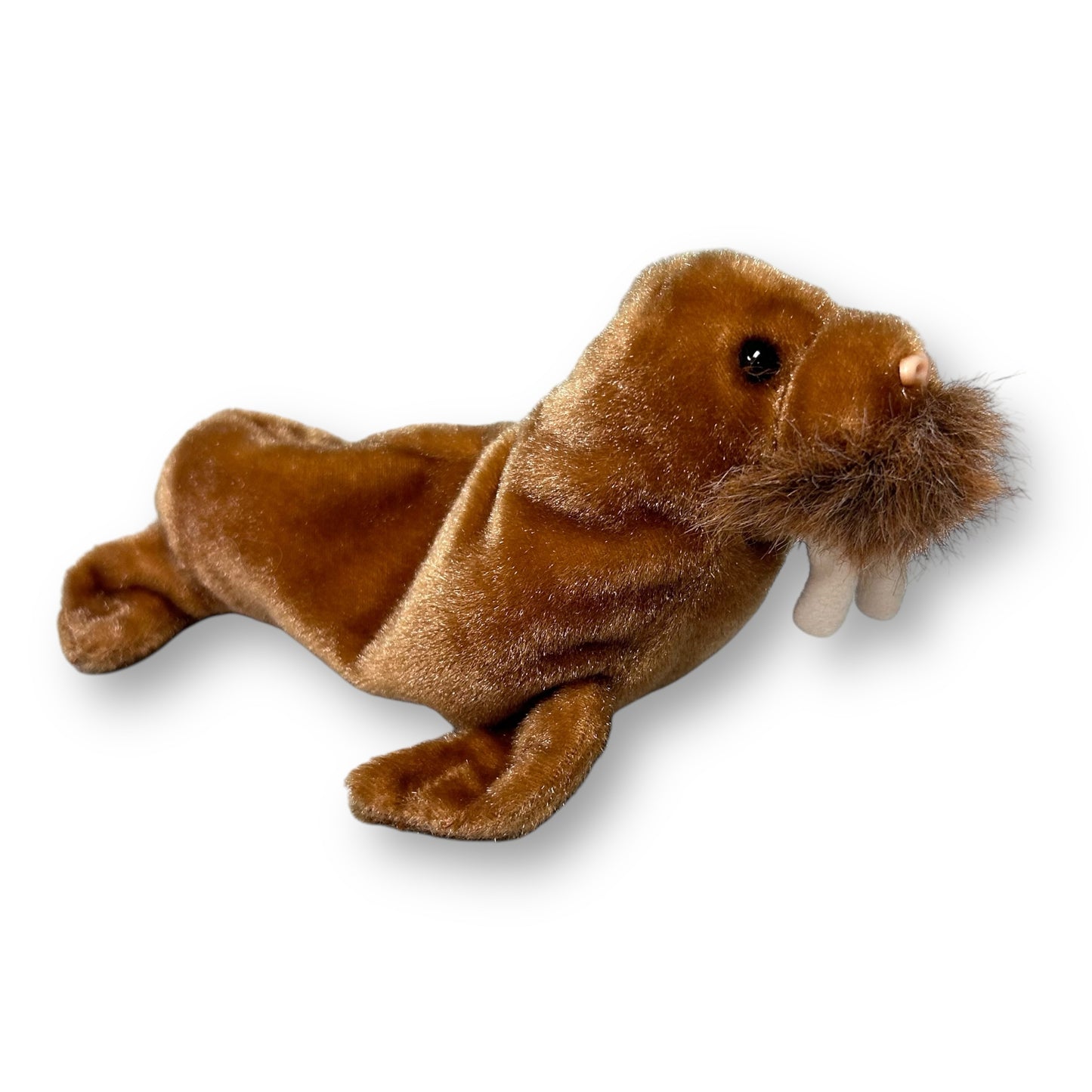 TY Beanie Baby- Paul the Walrus