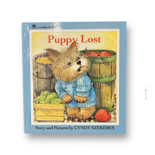 Puppy Lost Board Book