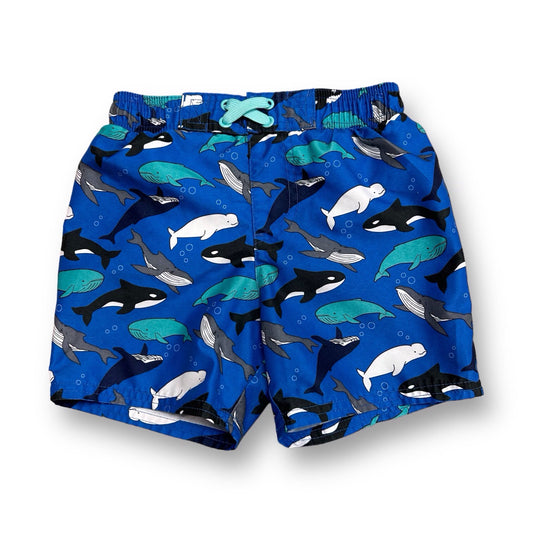 Boys Cat & Jack Size 3T Blue Whale Print Swim Trunks